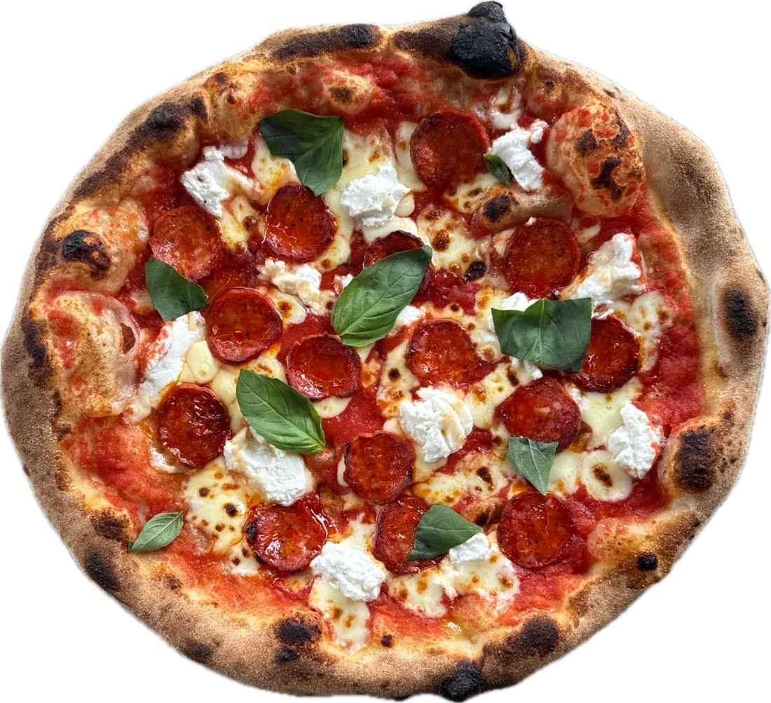 A Modello pizza from above: pepperoni, dollops of ricotta and fresh basil on a puffy, leopard-spotted sourdough crust.
